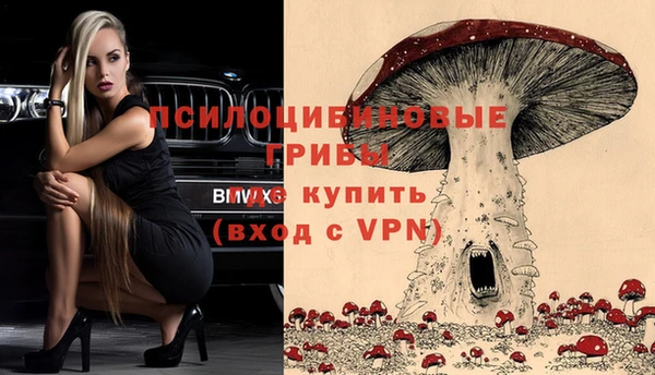мет Богданович