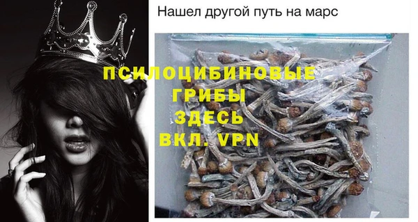 мескалин Богородицк