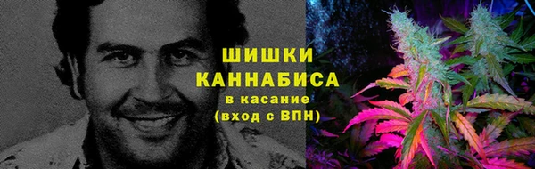 мескалин Богородицк