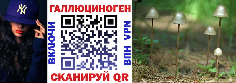 как найти закладки  Новоуральск  гидра как войти  Псилоцибиновые грибы GOLDEN TEACHER 