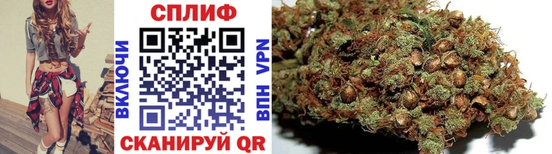 Бошки марихуана Amnesia  что такое   Новоуральск 